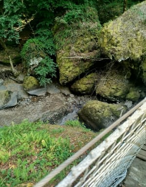 Ontdekkingswandeling van de Salins-waterval - Salins - 16