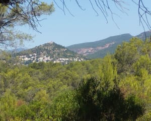 Circuit du lac des Requins - Roquebrune-sur-Argens - 15