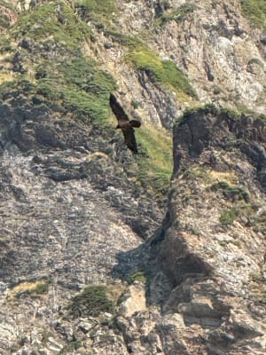 Le pic du Cabaleros - Cauterets - 11