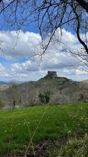 Ontsnap naar het Chambonmeer en maak een wandeling vol geschiedenis - Chambon-sur-Lac - 58