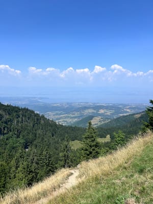 Balade du Mont Forchat depuis Très le Mont - Lullin - 5