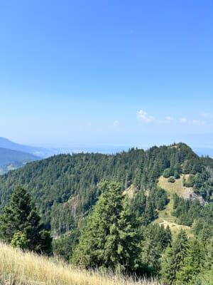 Balade du Mont Forchat depuis Très le Mont - Lullin - 6