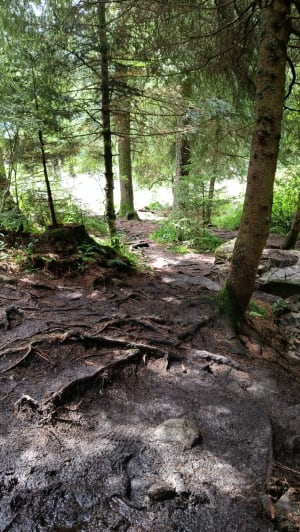 Le Rocher Hans et le tour du lac Blanc - Orbey - 22