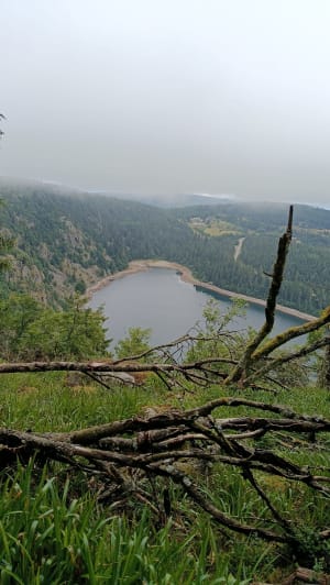 Le Rocher Hans et le tour du lac Blanc - Orbey - 23