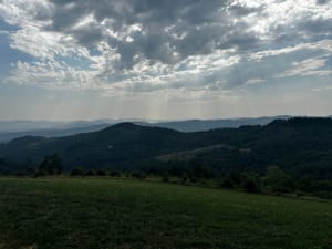 En forêt et sur les crêtes de la Cantinière - Saint-Cyr-le-Chatoux - 9