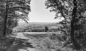 Menhir, Les Cerisiers - Menat - 4