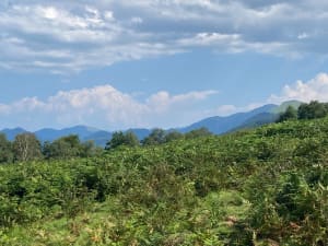 Boucle au départ du Col des Palomieres - Gerde - 37