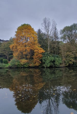 Sentier nature des berges de l'Orne - Caen - 10