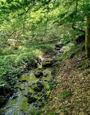 Boucle au Guizay par le barrage de l'Ondenon - Planfoy - 16