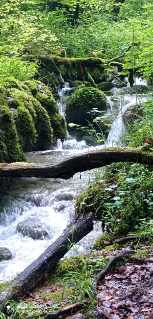 Cascade de la Brive - Marchamp - 53