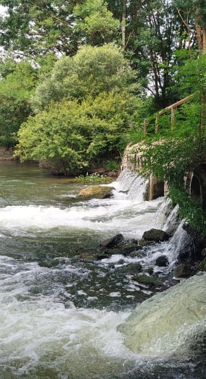 Balade sur les rives du Loir à Villevêque et paysage rural - Rives-du-Loir-en-Anjou - 7