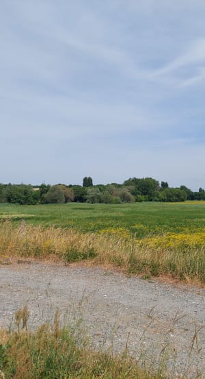 Balade sur les rives du Loir à Villevêque et paysage rural - Rives-du-Loir-en-Anjou - 8