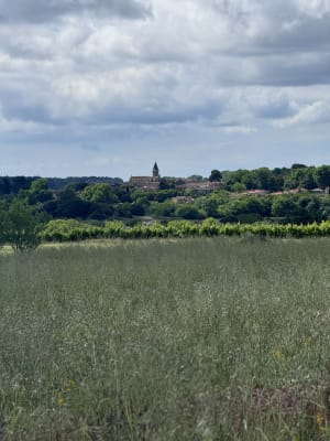De omgeving van Saint-Drézéry, het meer van St-Jean de Cornies - Saint-Drézéry - 6