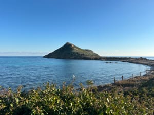 Sortie au Cap Taillat - Guillaume - 28