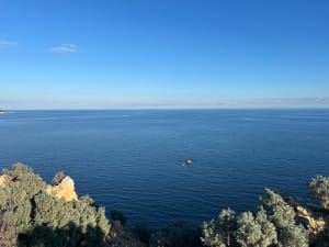 Sortie au Cap Taillat - Guillaume - 29