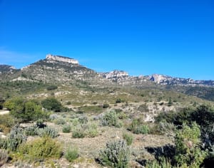 Escapade dans le parc du Lubéron depuis Mérindol - Le Logis Neuf, Mérindol - 20