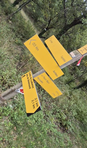 Mourre Nègre et sommets chauves du Haut Lubéron - Auribeau - 11