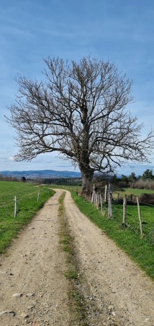 Rochegut et Gabelon - Rozier-Côtes-d'Aurec - 22