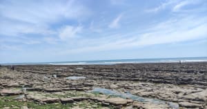 De la Ragounite à la pointe du Payré. - Jard-sur-Mer - 15