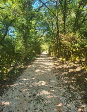 Condat-sur-Vézère et promenade dans une nature complice - Condat-sur-Vézère - 11