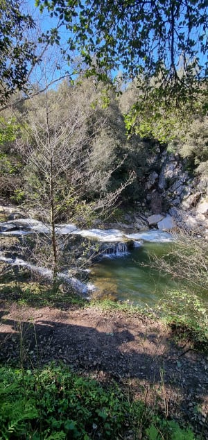 Belle balade au frais dans le vallon de la Brague - Biot - 7
