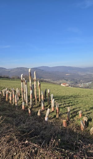 Land'art, le Tacot, voyage éphémère - Po Ki - 11