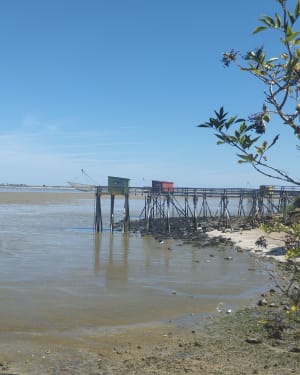 Boucle sur Presqu'île de Fouras - Fouras - 11