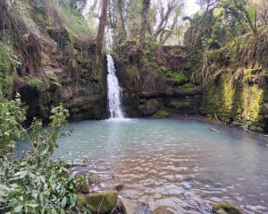 Escapade au lavoir des Sagnes - Saint-Paul-le-Jeune - 17