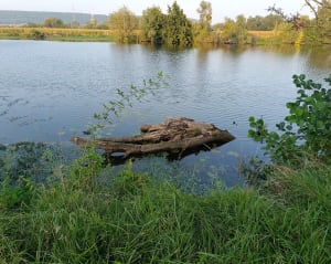 La Seine à entre Vernon et Les Andelys - SYLVIE - 2