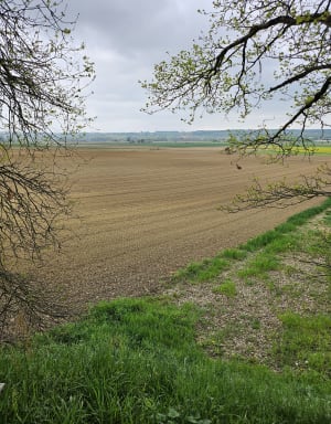 Lévignac-de-Guyenne, la balade de la bastide - Lévignac-de-Guyenne - 4