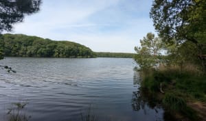 Autour du lac de Trémelin - Iffendic - 3