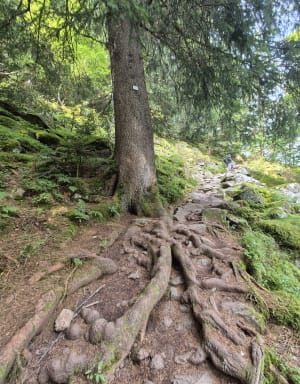 Raven Lake en zijn uitzichtpunt - La Bresse - 38