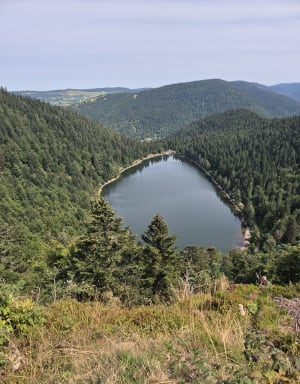 Raven Lake en zijn uitzichtpunt - La Bresse - 39