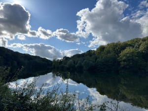 Tour des étangs de la forêt de Versailles et rencontres discrètes - Romain - 2