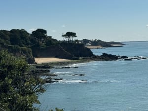 Fascinante Saint-Nazaire et plongeon dans l’histoire - François - 5