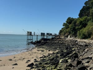 Fascinante Saint-Nazaire et plongeon dans l’histoire - François - 8
