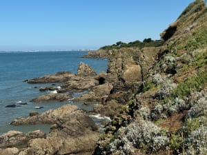 Fascinante Saint-Nazaire et plongeon dans l’histoire - François - 9