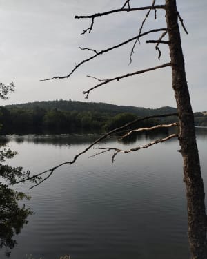 Le tour du lac d’Aydat - Aydat - 8