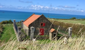 Entre terre et mer à Boulogne-sur-Mer et falaises d’Opale - Boulogne-sur-Mer - 34
