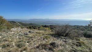 De Bertagne-piek in een lus vanuit Plan-d'Aups-Sainte-Baume - Plan-d'Aups-Sainte-Baume - 11