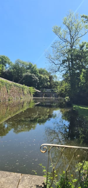 Parc départemental de Châteauneuf-sur-Loire - Châteauneuf-sur-Loire - 9