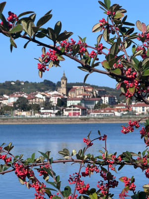 Lou Boucle de la Bidassoa - Hendaye - 8