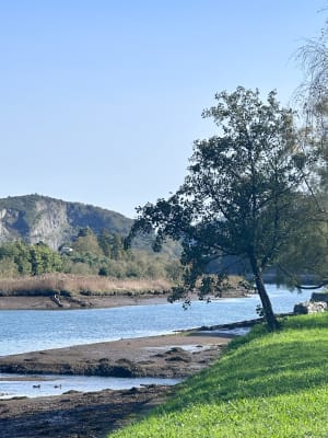 Lou Boucle de la Bidassoa - Hendaye - 9
