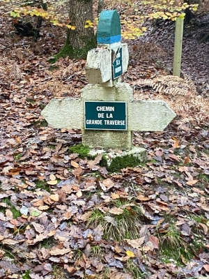 Bol d'oxygène à Saint-Evroult-Notre-Dame-du-Bois - Saint-Evroult-Notre-Dame-du-Bois - 10