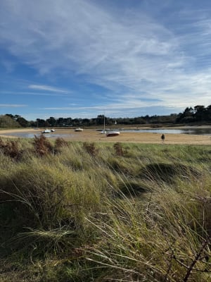 Boucle entre Terre et Mer sur la presqu’île de Trégastel - Trégastel - 28