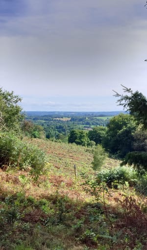 Autour de l'arboretum de la Jonchère - La Jonchère-Saint-Maurice - 13