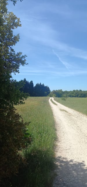 Boucle du Creux Rouge - La Garde-Adhémar - 3