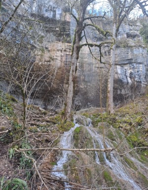 Balade près du Pont de Pyle - La Tour-du-Meix - 40