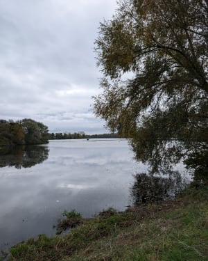 Ronde van het Heronmeer en rust in Villeneuve-d'Ascq - Villeneuve-d'Ascq - 26