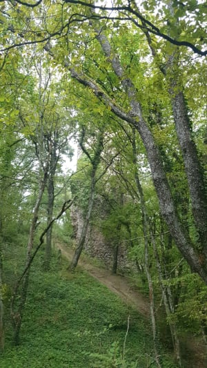 Sur les hauteurs de Jardin - Jardin - 12